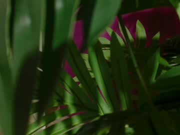 Imcarrieberry tits - 01/13/2023