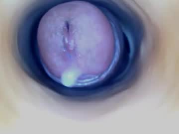 Paulainoscente ticket show