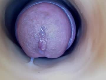 Paulainoscente  - 2024/09/28