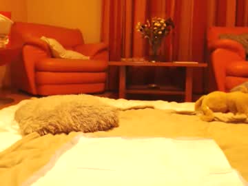 Andrasweetie ticket show