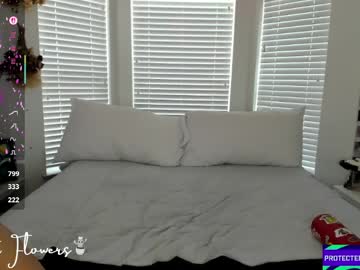 Violetttflowers anal - 2023-10-19