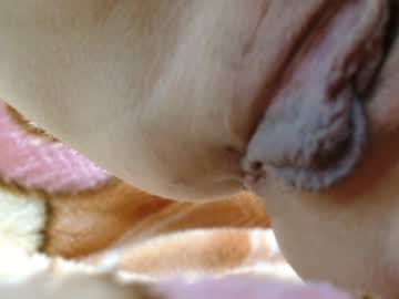 Cbz112233 fingering camshow