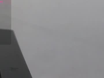 Ninaa_fox with friend