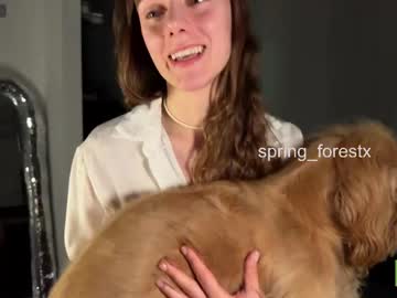 Spring_forestx toy fun show