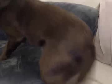 Nzplaytime doggy and facial - 09 August 2022