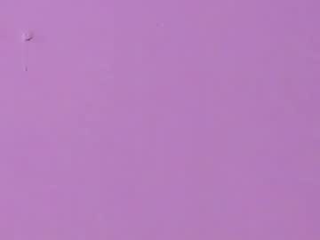 Sophia_walkett premium show