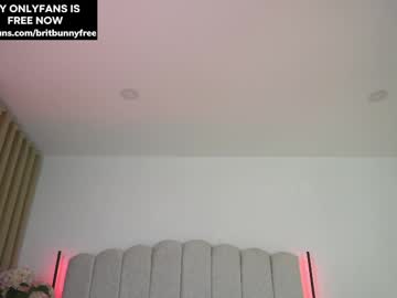 Camilitasu crazyticket