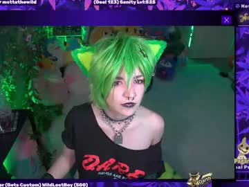 Wildwylie tits and ass