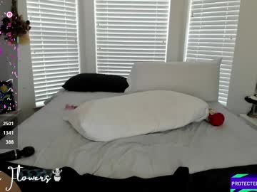 Violetttflowers crazyticket