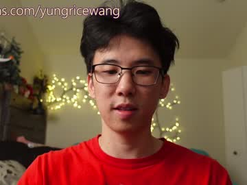 yungricewang profile