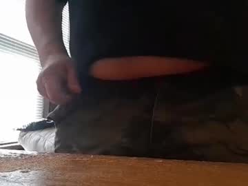kindofabear live show